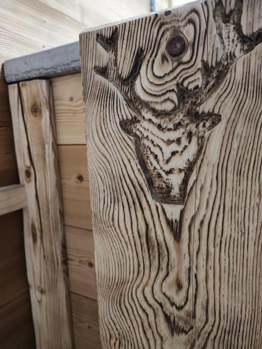 Вилла Le Banc Des Seilles Bonvillard Экстерьер фото